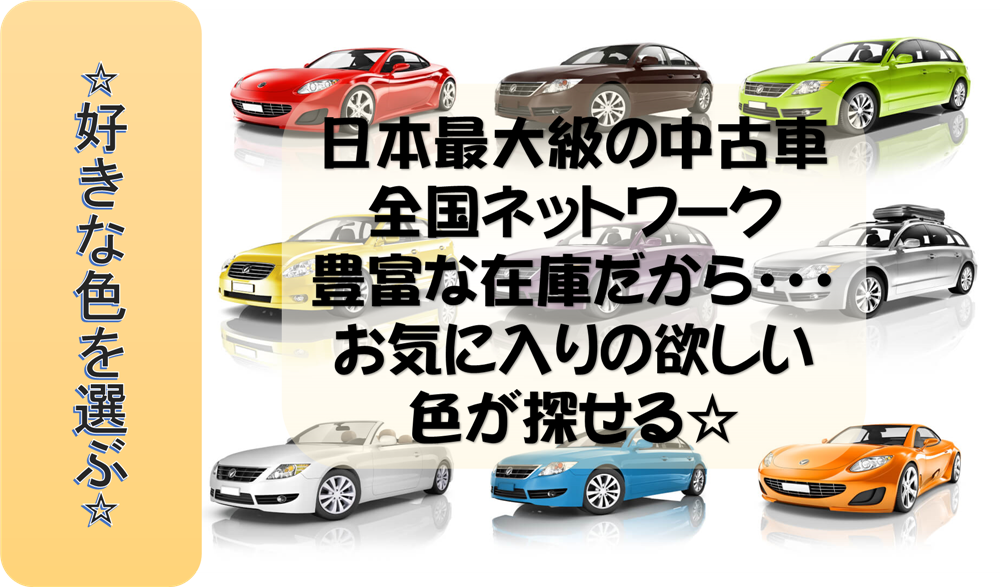 車の色が選べる注文販売