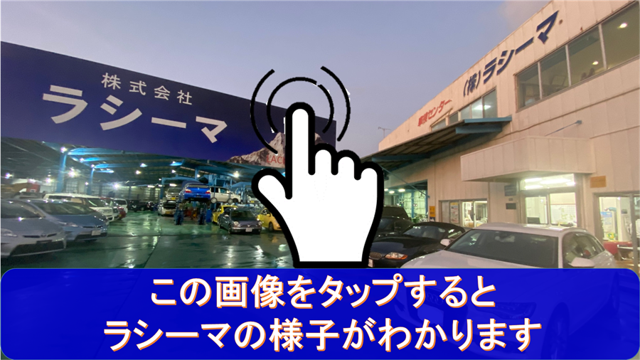 ラシーマの様子