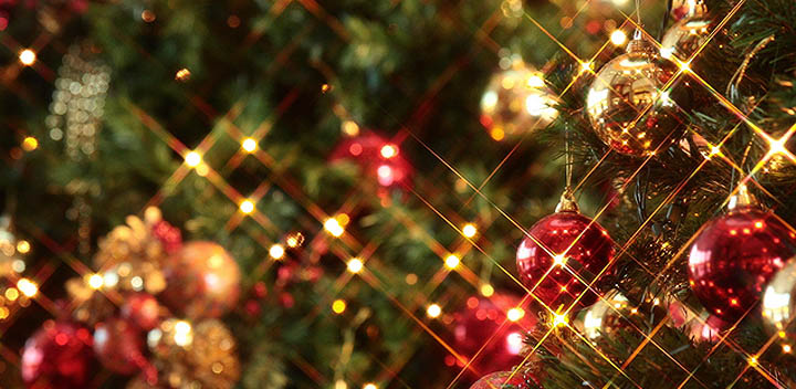 ラシーマクリスマス飾り